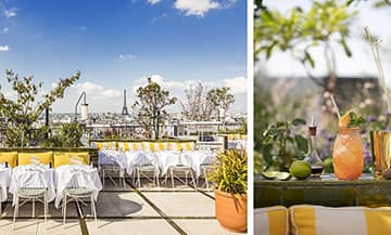 The Rooftop Perruche in Paris